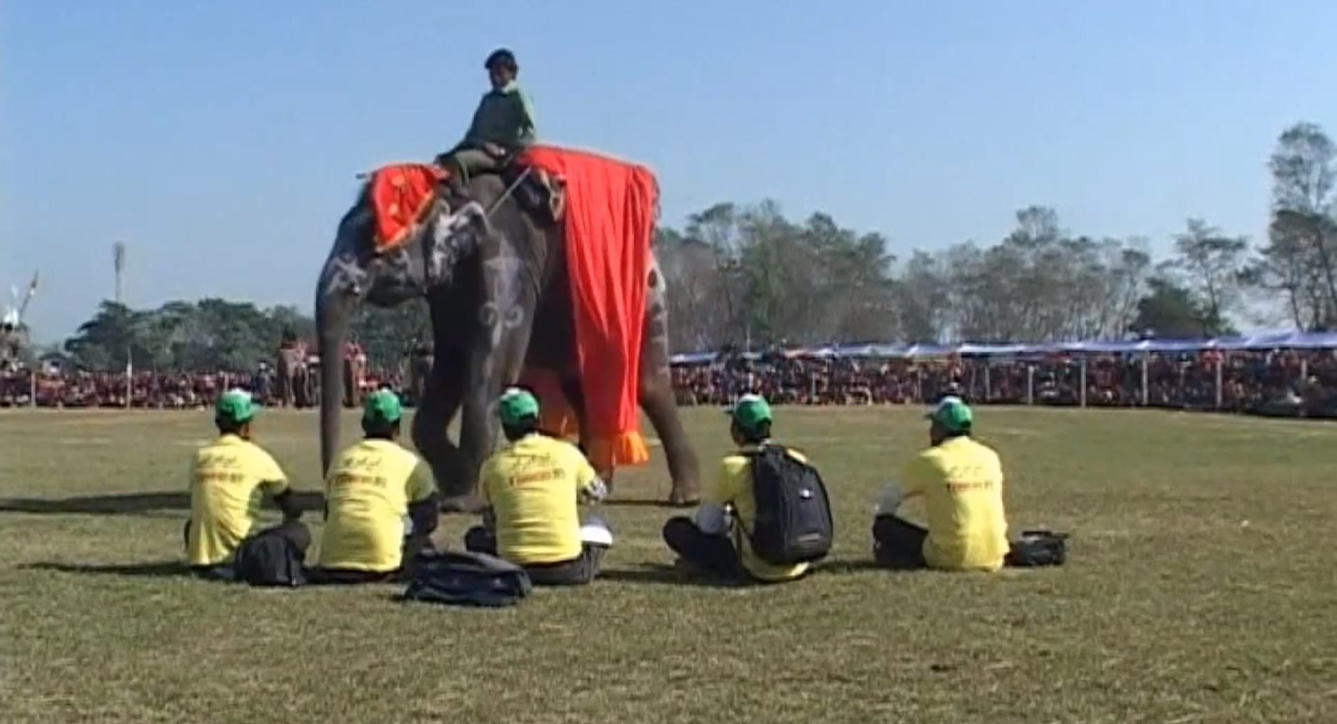 Elefanter, Skönhetstävling, Nepal, elefantfestival